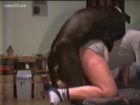 Sexy teen got her pussy licked and fucked by dog xxx